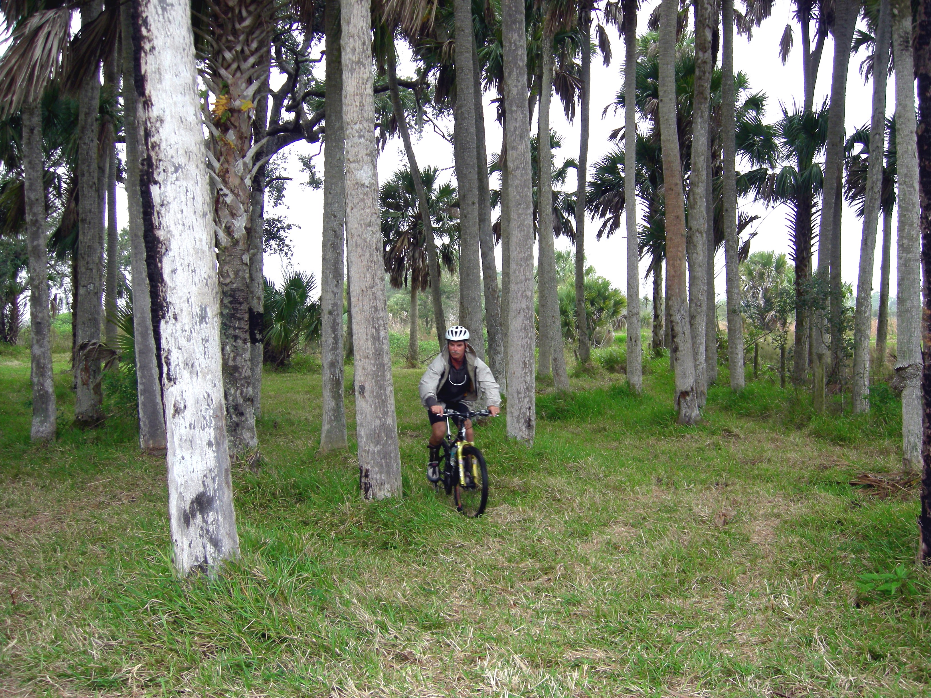 Biking the Allapattah.